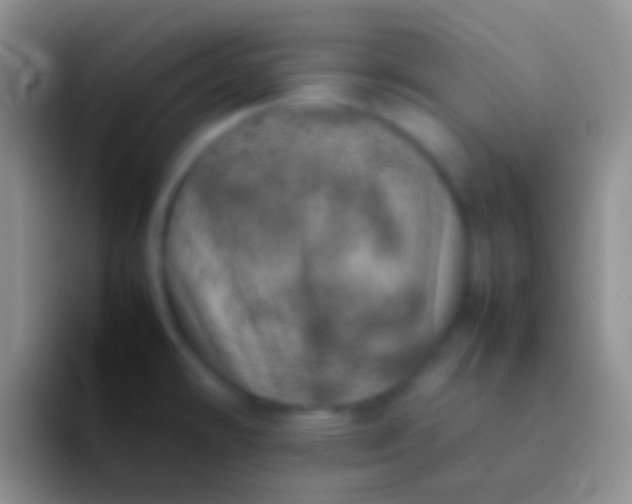 X0000092101478200709262132