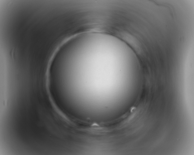 X0000092101479200709262132