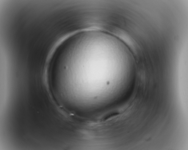 X0000092101480200709262132