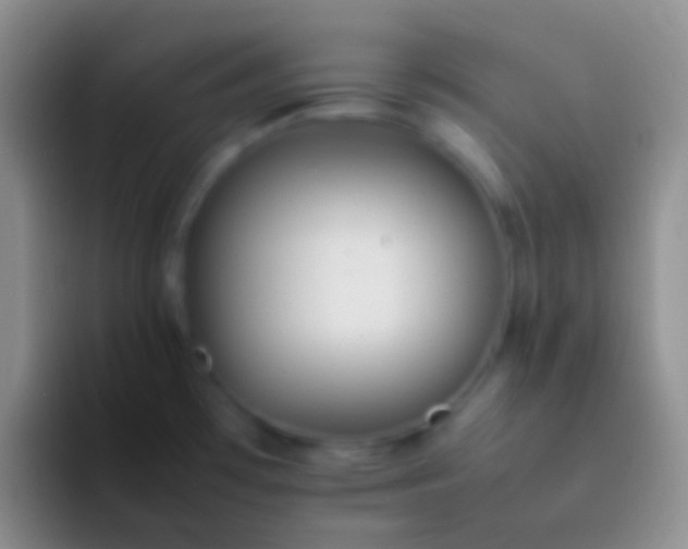 X0000092101481200709262132