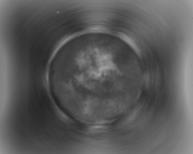 X0000092101482200709262132