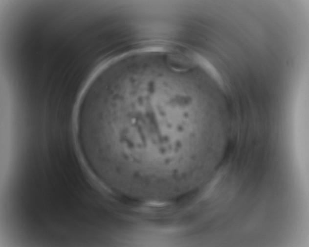 X0000092101483200709262132