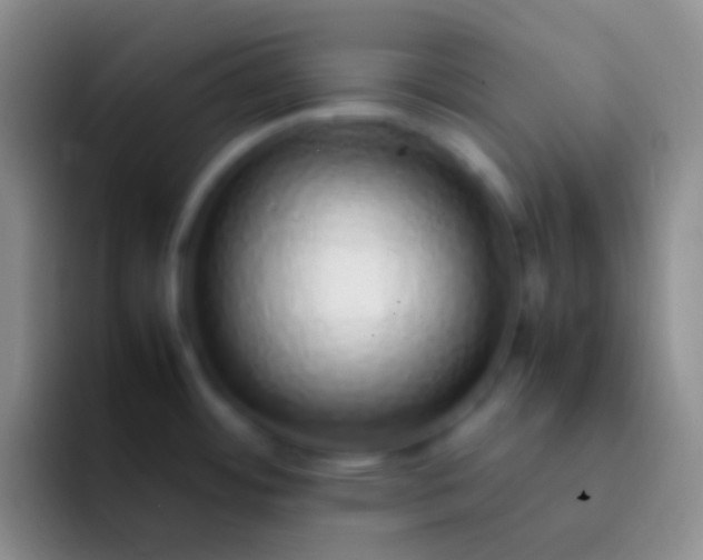 X0000092101484200709262132