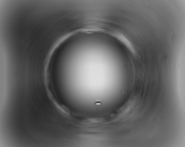 X0000092101485200709262132