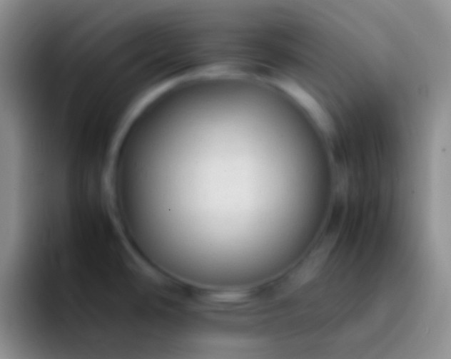 X0000092101486200709262132