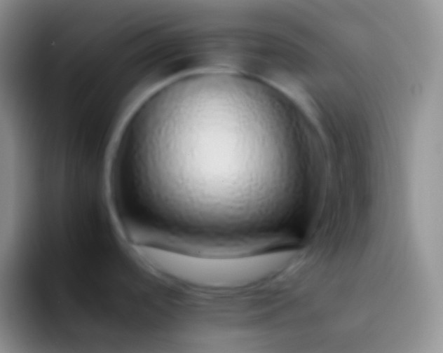 X0000092101488200709262132