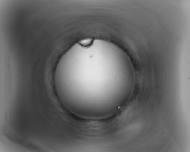 X0000092101489200709262132