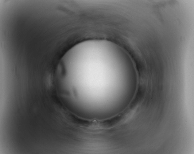 X0000092101490200709262132