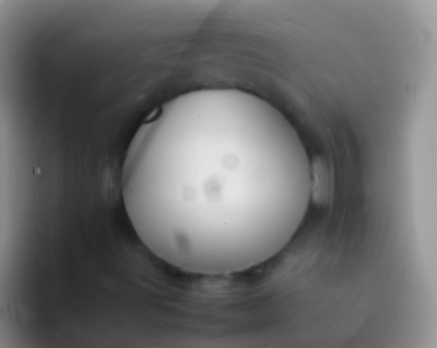 X0000092101491200709262132