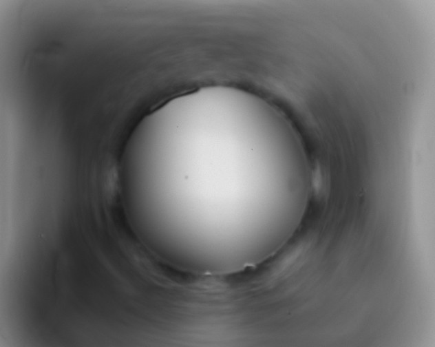 X0000092101492200709262132