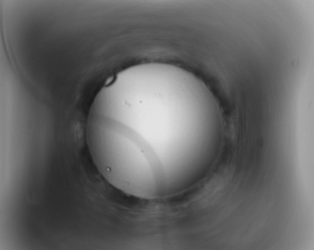 X0000092101493200709262132