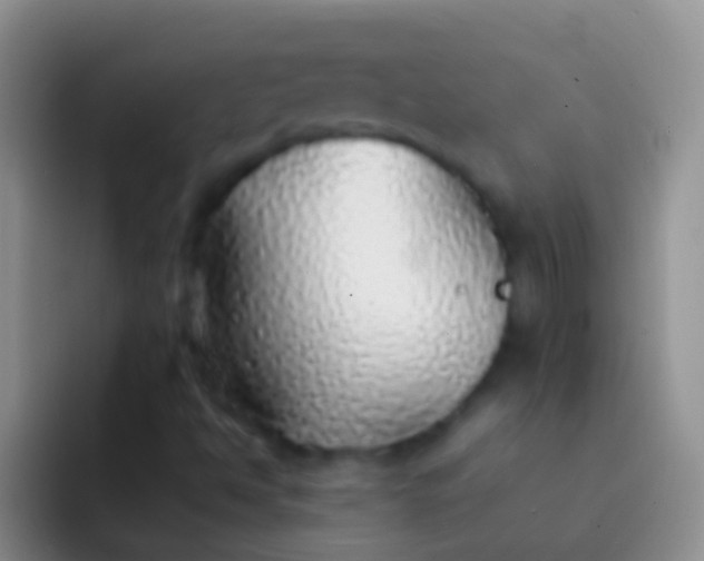 X0000092101494200709262132