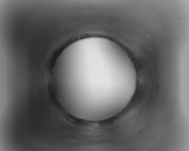 X0000092101495200709262132