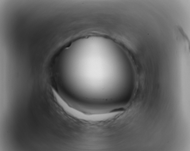 X0000092101496200709262132