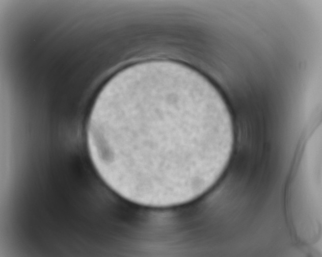 X0000092101498200709262132