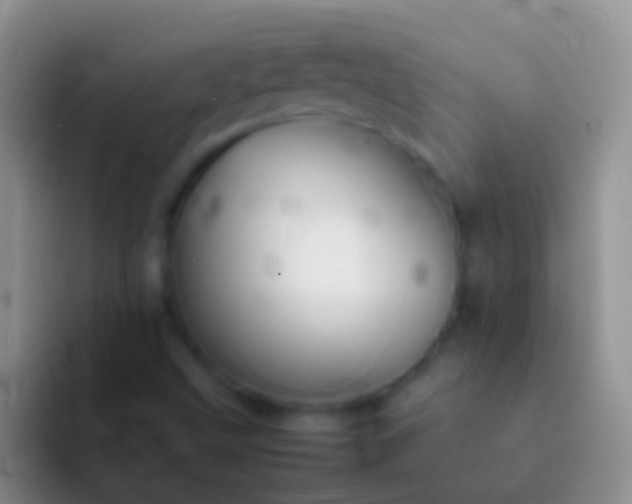 X0000092101499200709262132