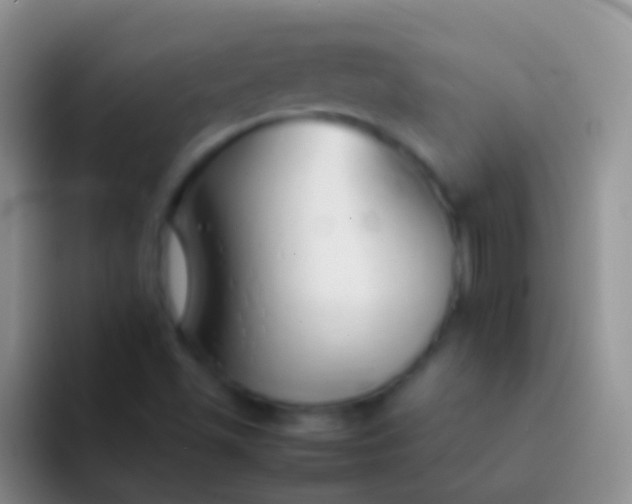 X0000092101501200709262132