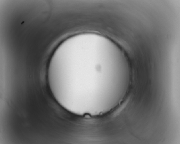 X0000092101502200709262132