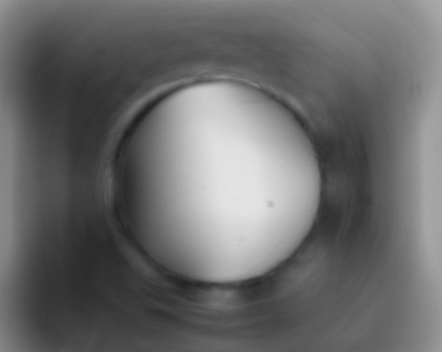 X0000092101503200709262132