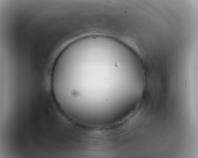 X0000092101504200709262132