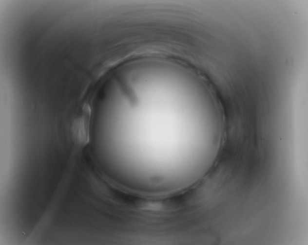 X0000092101505200709262132