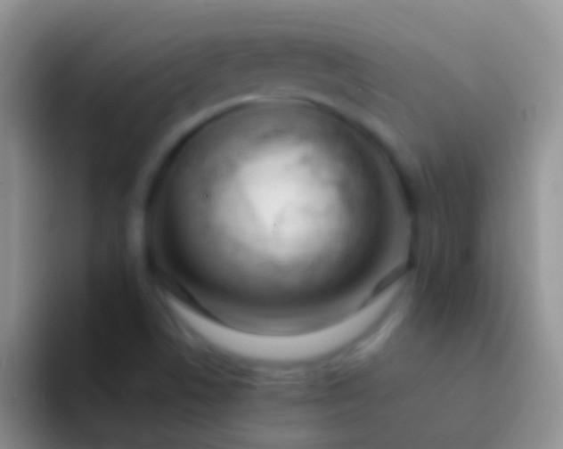 X0000092101506200709262132