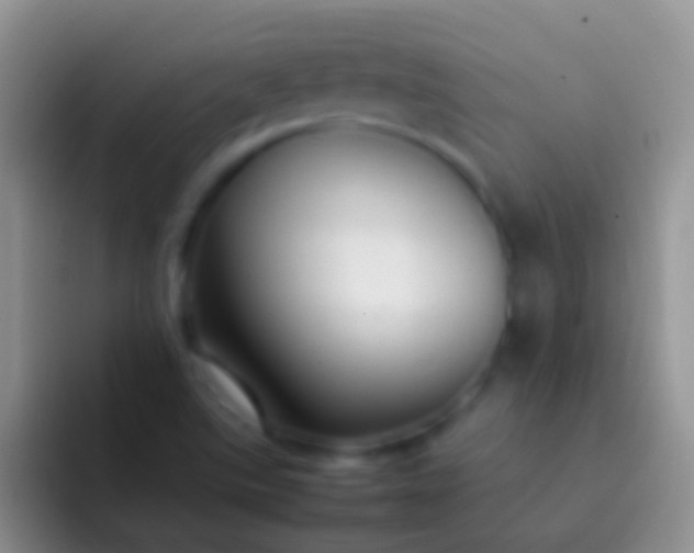 X0000092101507200709262132