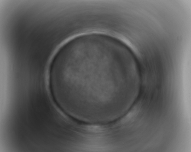 X0000092101508200709262132