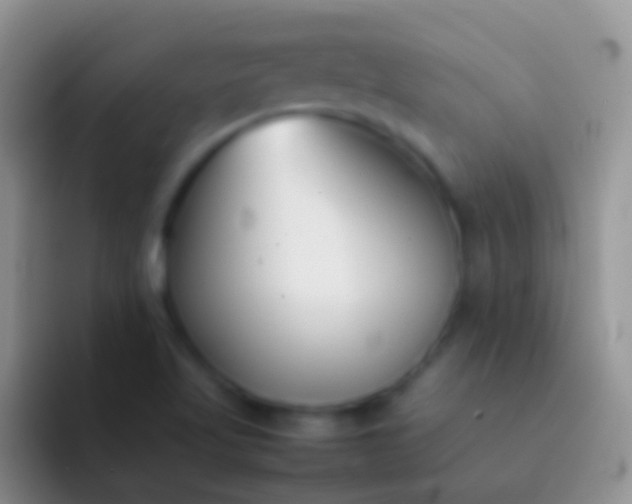 X0000092101509200709262132