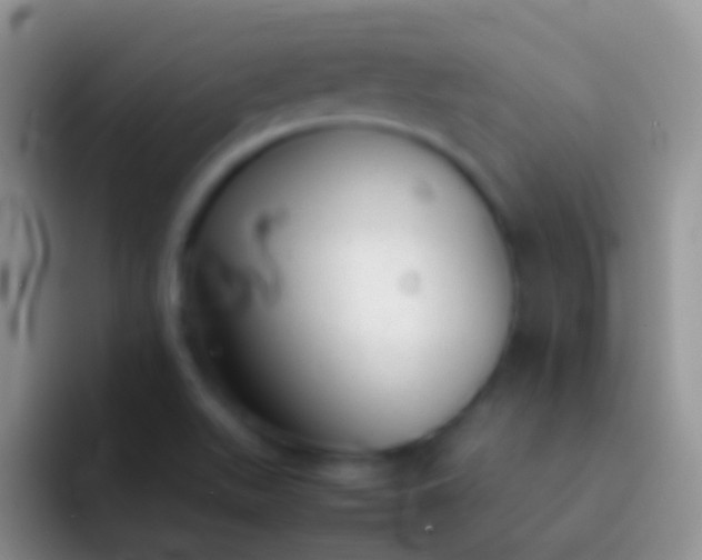 X0000092101511200709262132