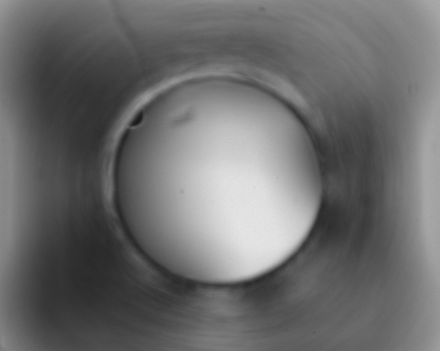 X0000092101512200709262132