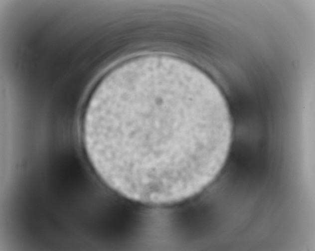 X0000092101514200709262132