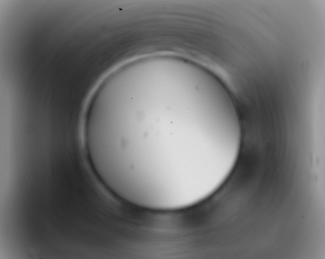 X0000092101516200709262132