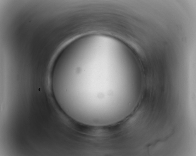 X0000092101517200709262132