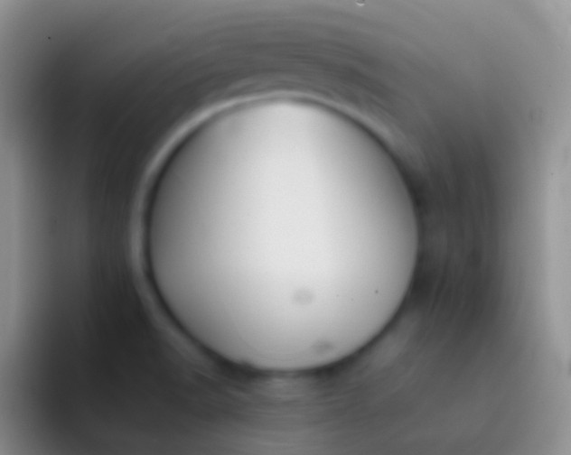 X0000092101518200709262132