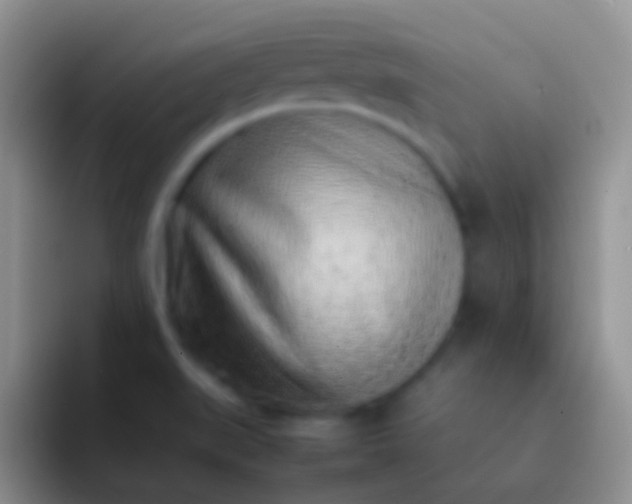 X0000092101519200709262132