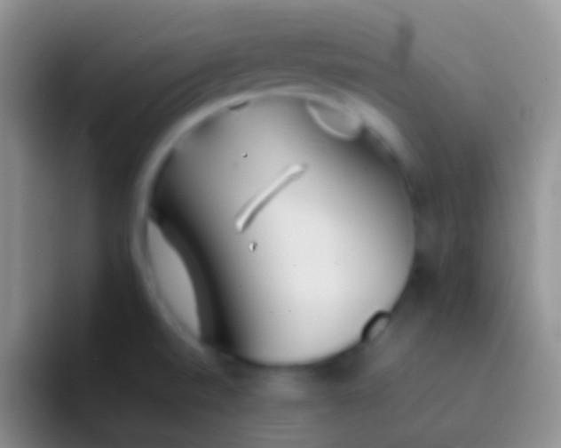 X0000092101520200709262132