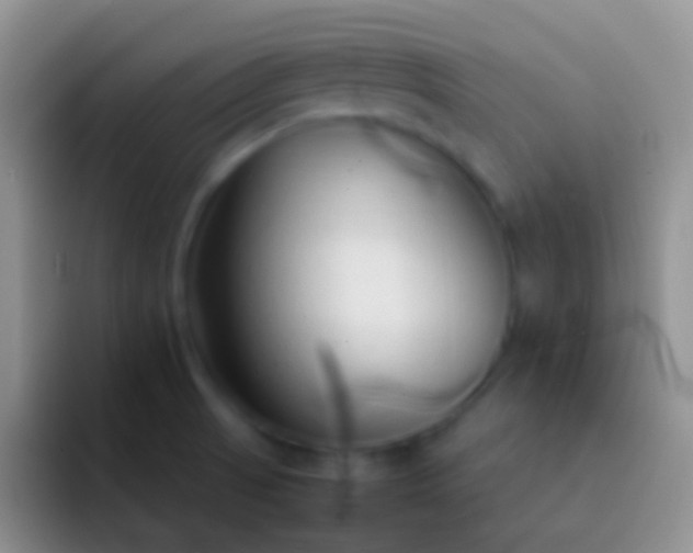 X0000092101521200709262132