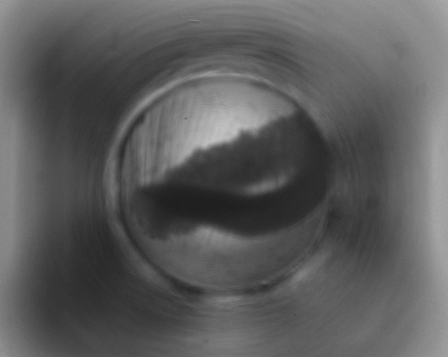 X0000092101522200709262132