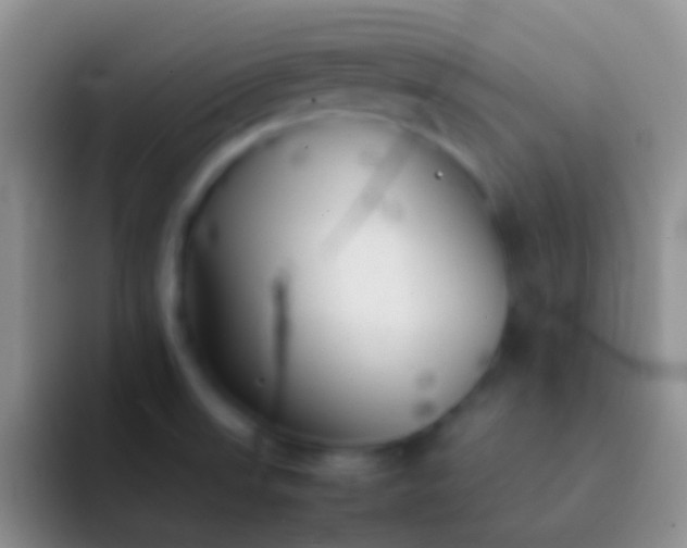 X0000092101523200709262132