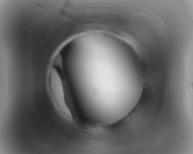 X0000092101524200709262132