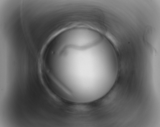 X0000092101525200709262132