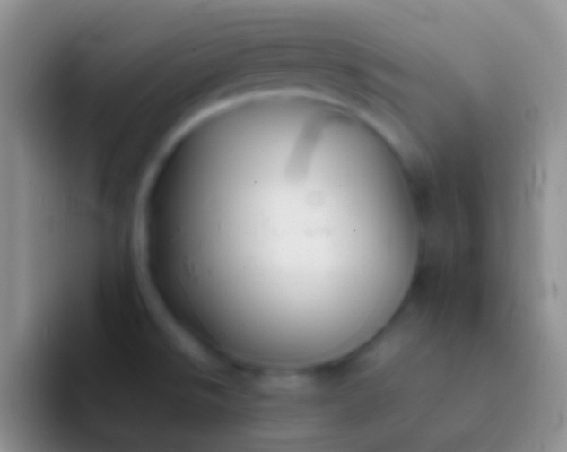 X0000092101526200709262132