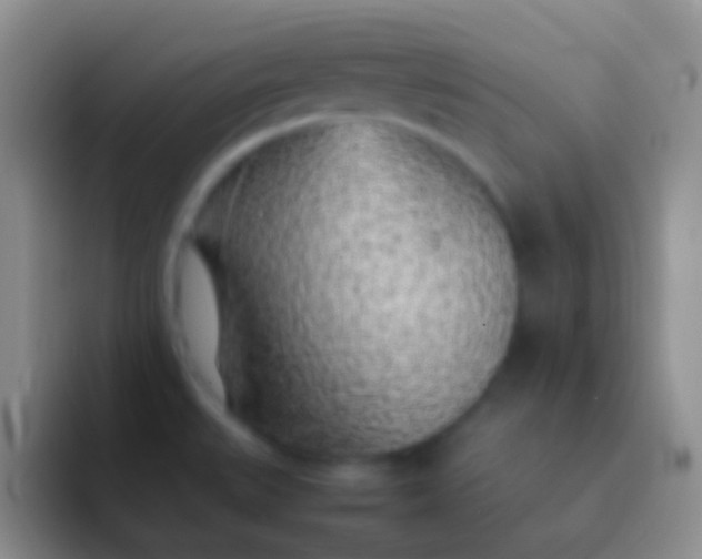 X0000092101527200709262132