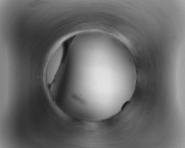 X0000092101528200709262132