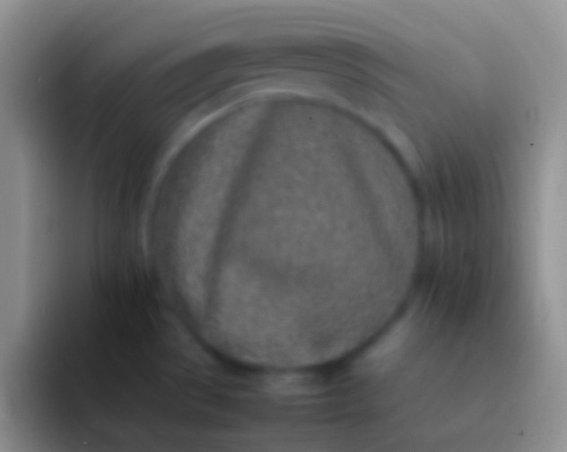 X0000092101529200709262132