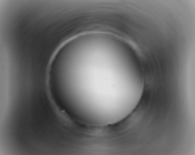 X0000092101530200709262132