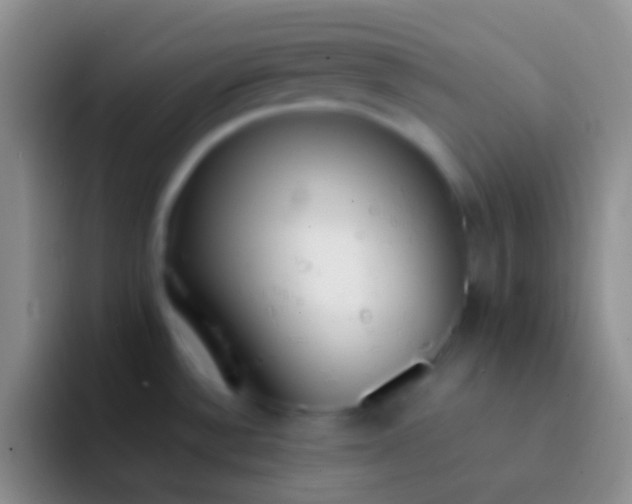 X0000092101532200709262132