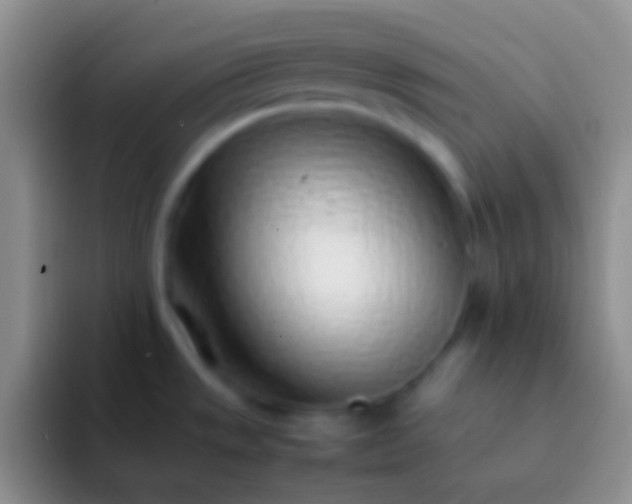 X0000092101533200709262132