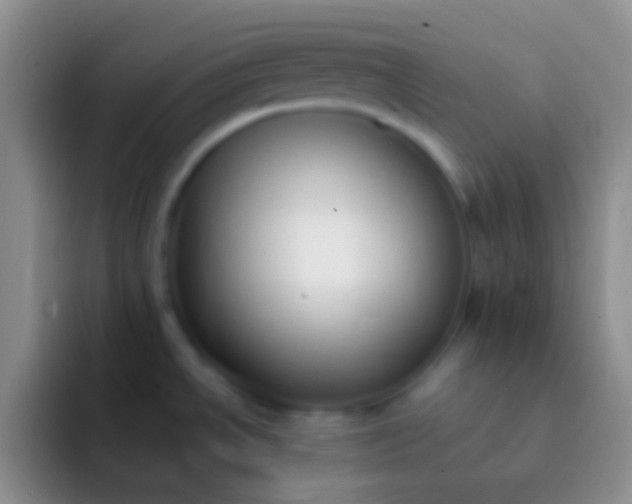 X0000092101534200709262132